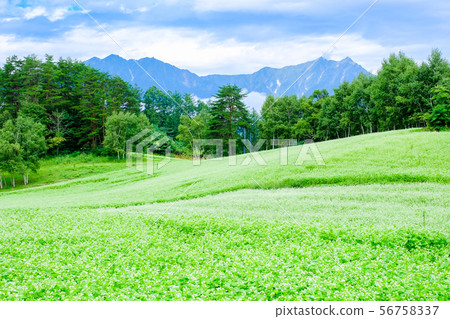 中山高原(蕎麥麵) 中山高原(蕎麥麵) 56758337
