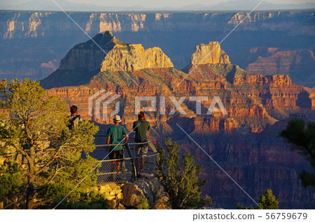 Grand Canyon Noslim (scenery at sunset) 56759679