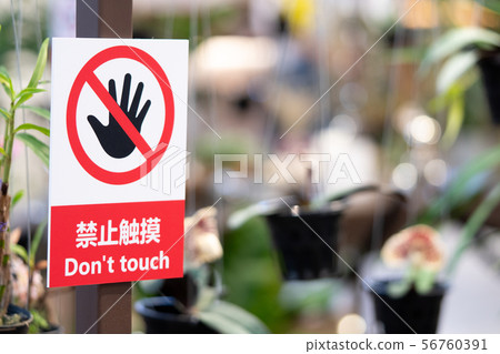 do not touch sign on orchid flowers garden 56760391