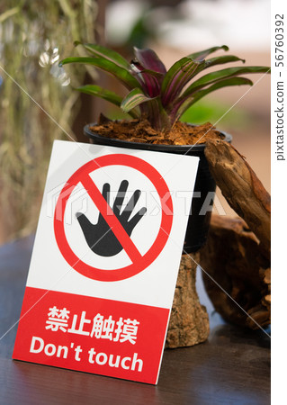 do not touch sign on orchid flowers garden 56760392