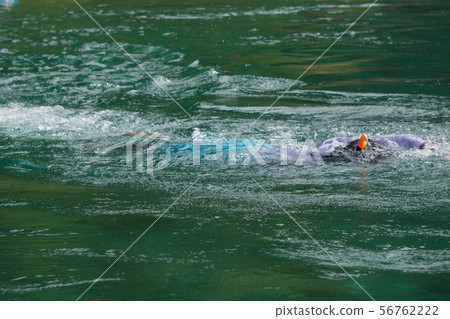 人們游泳在清澈的溪流Niyodo河 56762222