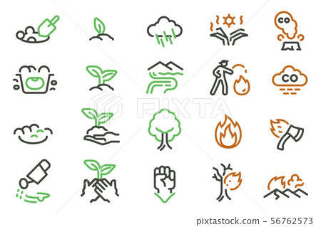 The grow seed of plant after wildfire. 56762573