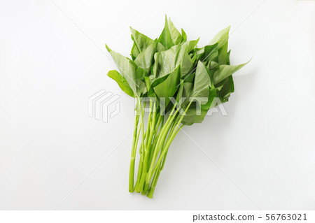 Ensai Ensai 56763021