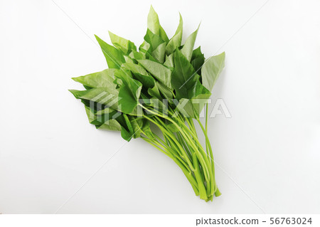 Ensai 56763024