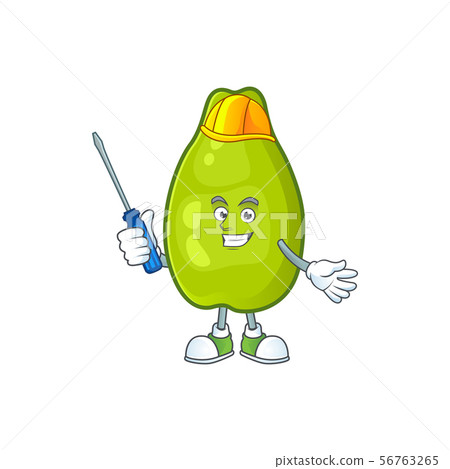 Automotive fresh and ripe papaya isolated on white background Automotive fresh and ripe papaya isolated on white background 56763265