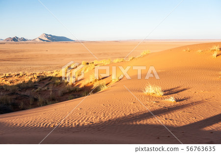 Sunrise over the Desert 56763635