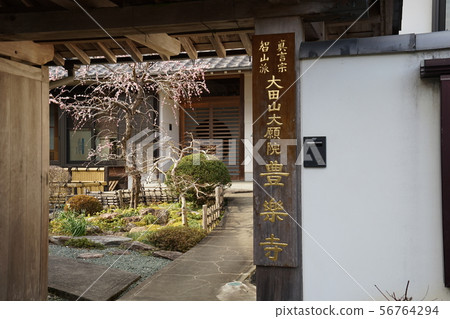 Burakuji Burakuji 56764294
