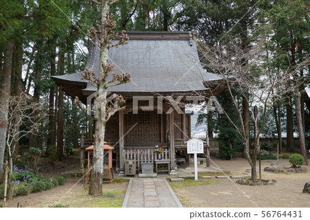 Tosa Kokubunji 56764431