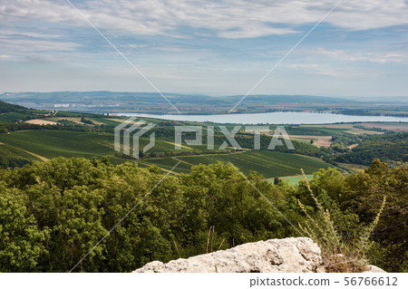 Landscape view of Palava in South Moravia. Lake 56766612