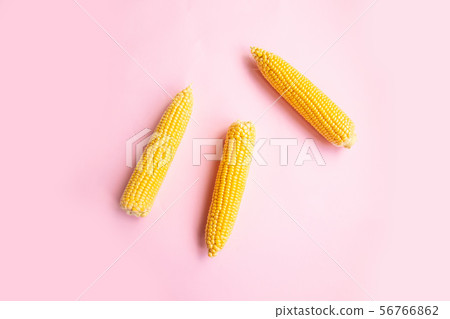 Flat lay composition with tasty sweet corn cobs. 56766862