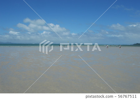 White shallow coast White shallow coast 56767511