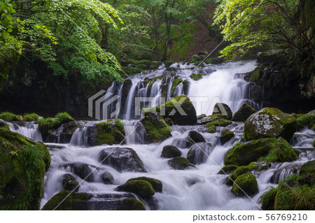 Summer Tateshina Highland Tateshina Otaki 56769210