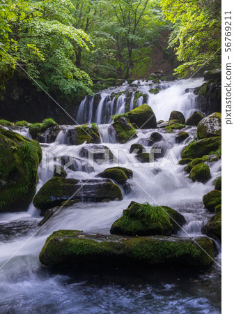 夏季Tateshina高地Tateshina Otaki 夏季Tateshina高地Tateshina Otaki 56769211