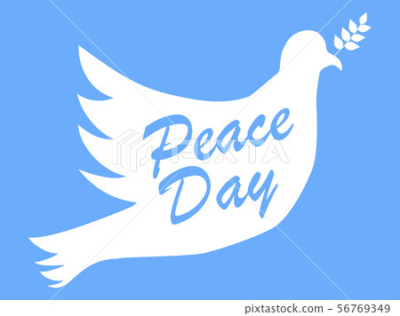 Peace day. White dove with olive branch on a blue 56769349