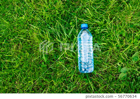 Bottle of water on the green grass. Grass and Bottle of water on the green grass. Grass and 56770634