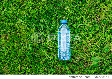 Bottle of water on the green grass. Grass and Bottle of water on the green grass. Grass and 56770635