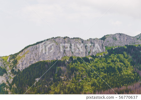 Beautiful view of Zakopane Tatra Mountains Beautiful view of Zakopane Tatra Mountains 56770637