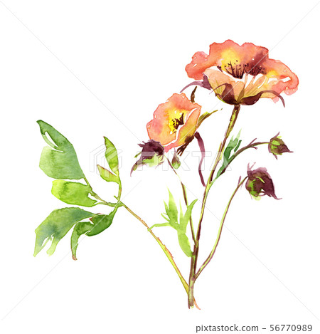 Wedding bridal romanric rustic warm bouquet. Hand drawing watercolor pink and purple and orange 56770989