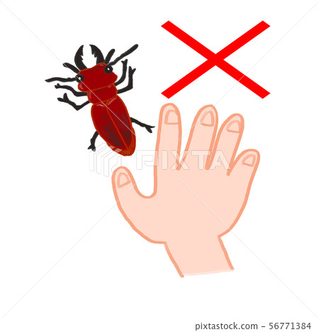 Spiraea, red stag, poisonous, dangerous if touched × mark prohibited mark Spiraea, red stag, poisonous, dangerous if touched × mark prohibited mark 56771384