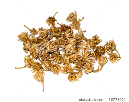 Dry Bullet wood flower on white background. 56772021
