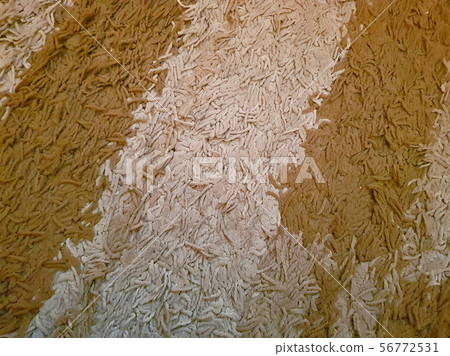 Shaggy surface of beige striped carpet Shaggy surface of beige striped carpet 56772531