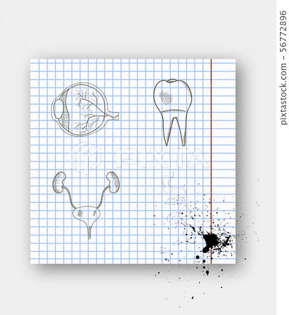human bone and joint icon set 56772896