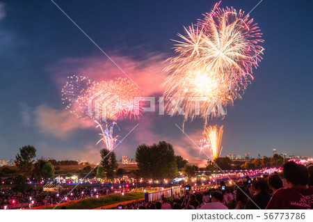 "Tokyo" Itabashi Fireworks Display / Summer Image 56773786