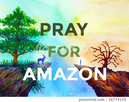 pray for amazon forest and animal watercolor 56774159