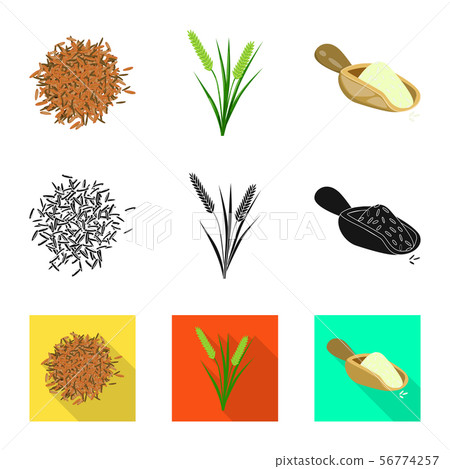 Vector illustration of crop and ecological symbol. Set of crop and cooking stock symbol for web. Vector illustration of crop and ecological symbol. Set of crop and cooking stock symbol for web. 56774257