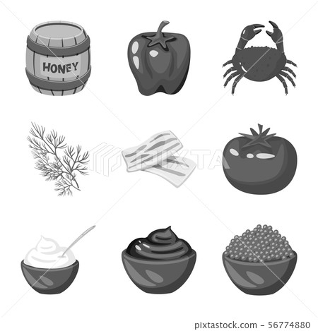Vector illustration of spices and aroma symbol. Set of spices and product stock symbol for web. Vector illustration of spices and aroma symbol. Set of spices and product stock symbol for web. 56774880