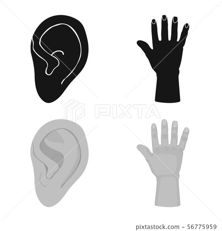 Isolated object of body and part logo. Collection of body and anatomy stock symbol for web. Isolated object of body and part logo. Collection of body and anatomy stock symbol for web. 56775959
