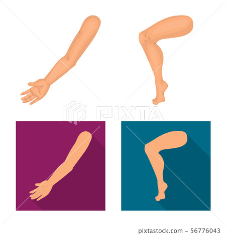Vector design of body and part logo. Collection of body and anatomy stock symbol for web. 56776043