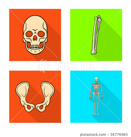 Isolated object of bone and skeleton sign. Collection of bone and human stock vector illustration. Isolated object of bone and skeleton sign. Collection of bone and human stock vector illustration. 56776965