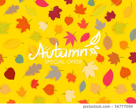 Autumn special offer. Color fall leaves Autumn special offer. Color fall leaves 56777099