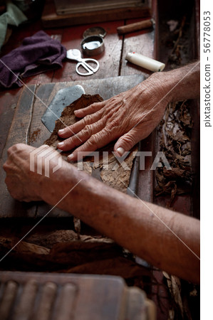 Cigar rolling or making by torcedor in cuba Cigar rolling or making by torcedor in cuba 56778053