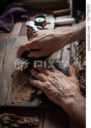 Cigar rolling or making by torcedor in cuba Cigar rolling or making by torcedor in cuba 56778055