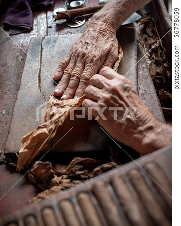 Cigar rolling or making by torcedor in cuba 56778059