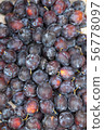 Ripe blue plum, farmers market. 56778097