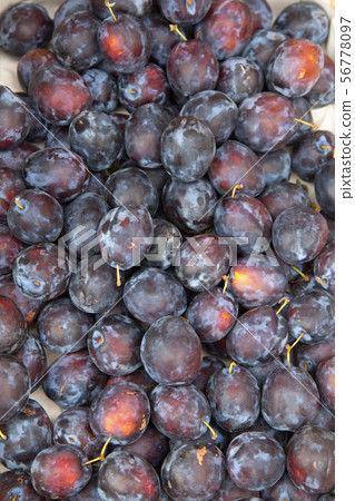 Ripe blue plum, farmers market. Ripe blue plum, farmers market. 56778097