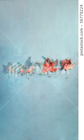 Different stages of life - Birth to death. Concept of aging, growth, death. Different stages of life - Birth to death. Concept of aging, growth, death. 56778224