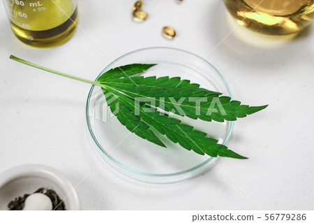 cbd thc oil medical treatment in doctor cbd thc oil medical treatment in doctor 56779286