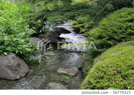 天鵝花園點景觀 天鵝花園點景觀 56779323