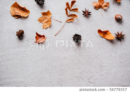 Autumn background, fall concept, thanksgiving day Autumn background, fall concept, thanksgiving day 56779357