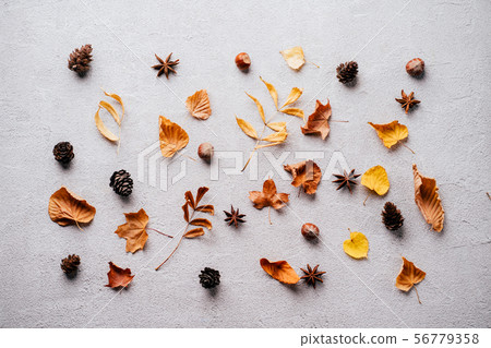 Background made of dried leaves and pine cones Background made of dried leaves and pine cones 56779358
