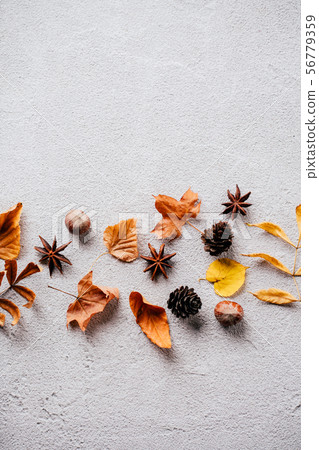 Autumn background, fall concept, thanksgiving day 56779359