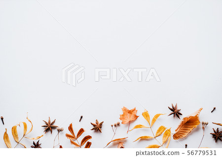 Autumn background, border of dried leaves on white Autumn background, border of dried leaves on white 56779531