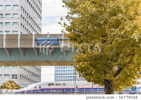 [秋葉銀杏大手町] 56779588