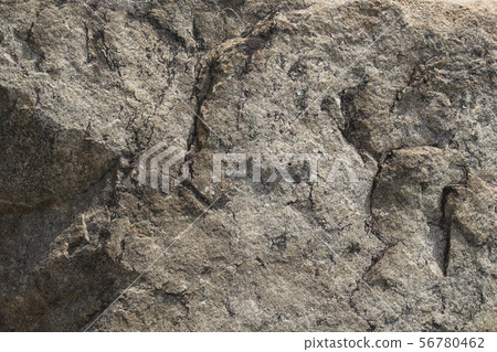 Rough rough skin 56780462