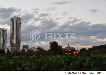 Ueno Park at twilight Ueno Park at twilight 56781055