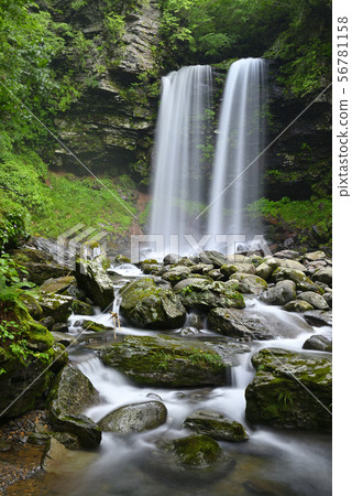 Meotodaki Falls（岐阜縣郡上市高之鎮） 56781158